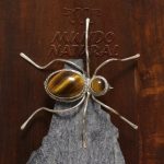 Broche Ojo de Tigre Araña