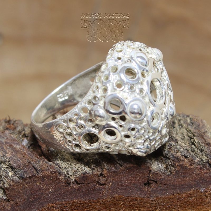 Anillo Espuma Oceánica Anillo Espuma Oceánica