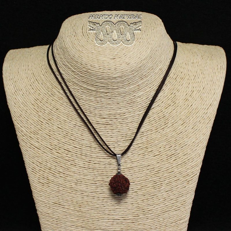 Colgante Semilla Rudraksha -1-