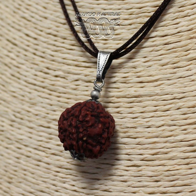 Colgante Semilla Rudraksha -1-