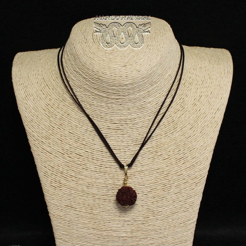 Colgante Semilla Rudraksha -2- Colgante Semilla Rudraksha -2-