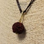 Colgante Semilla Rudraksha -2-