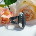 Anillo Espectrolita