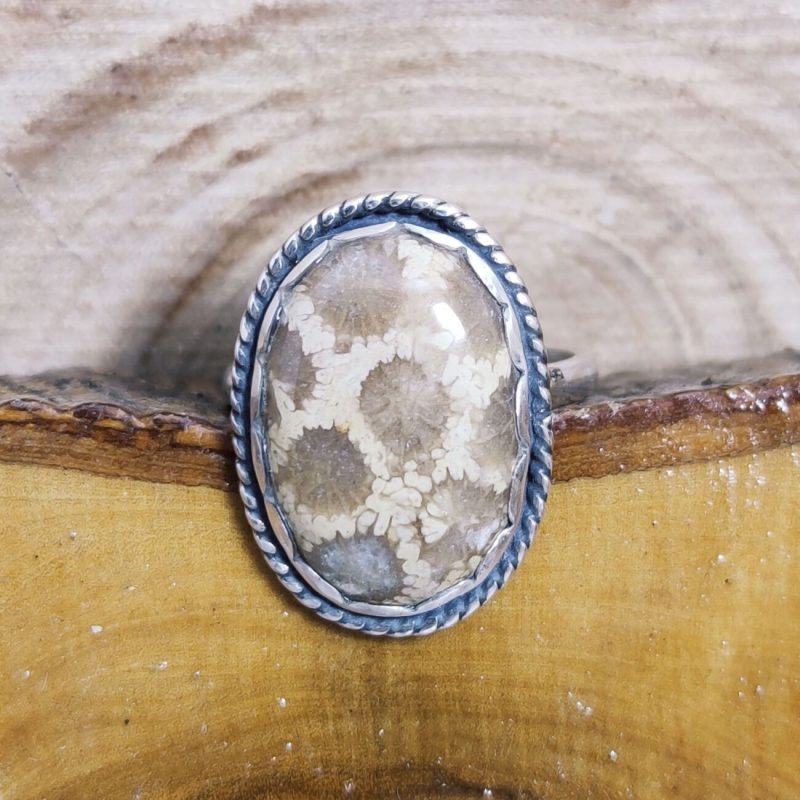 Anillo Coral Fósil Anillo Coral Fósil
