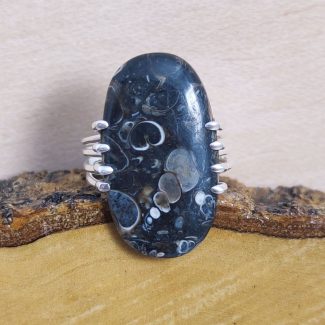 Anillo Fósiles