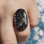 Anillo Fósiles