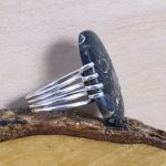 Anillo Fósiles