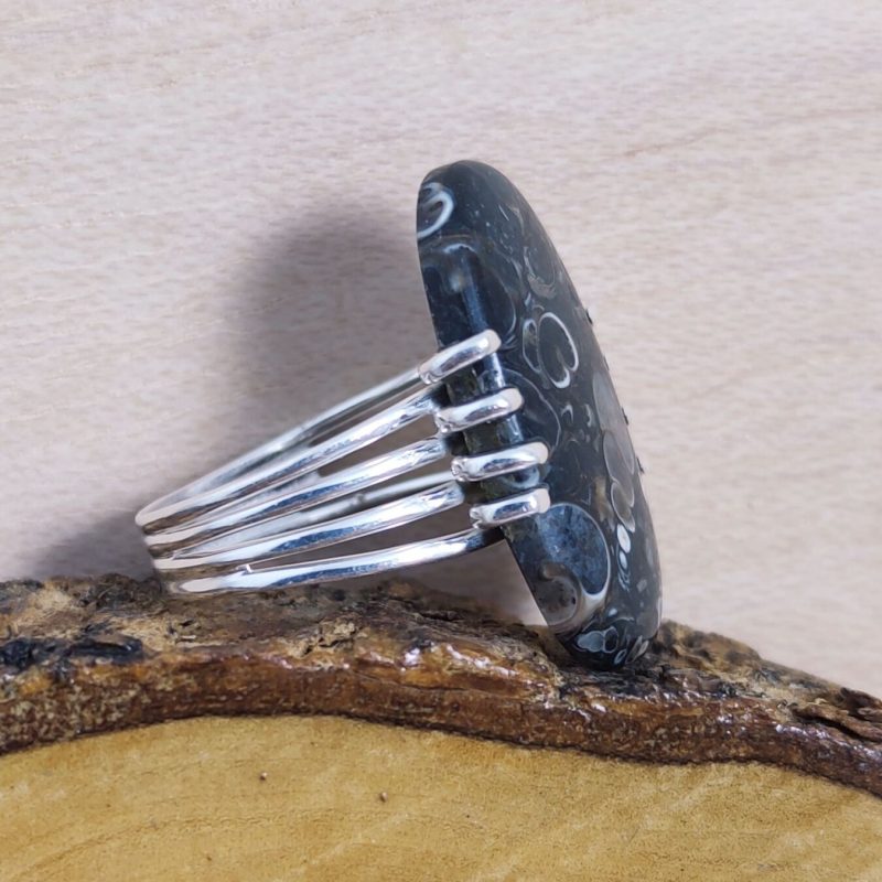 Anillo Fósiles