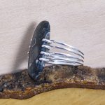 Anillo Fósiles