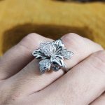 Anillo Circonitas