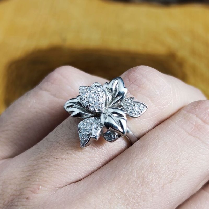 Anillo Circonitas