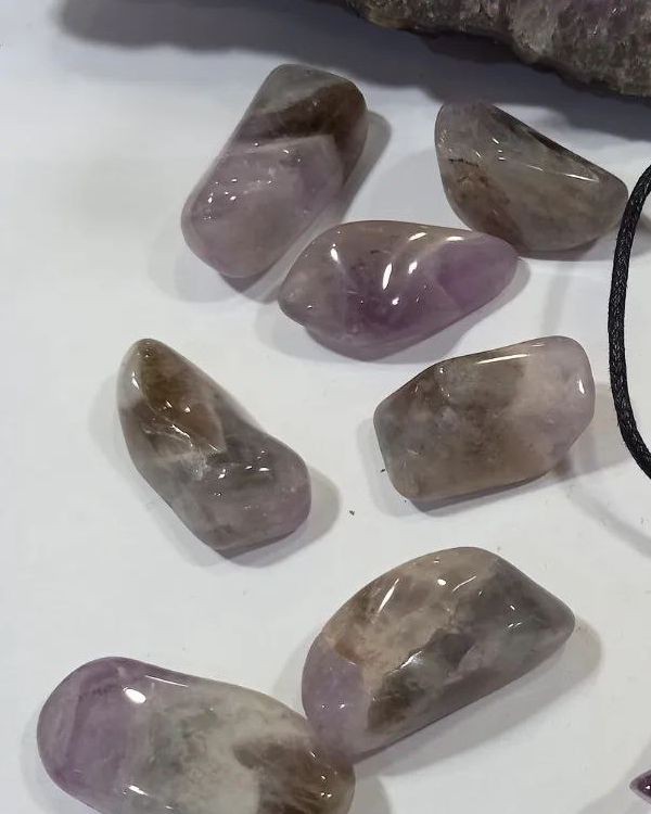 Prasiotrino Prasiotrino