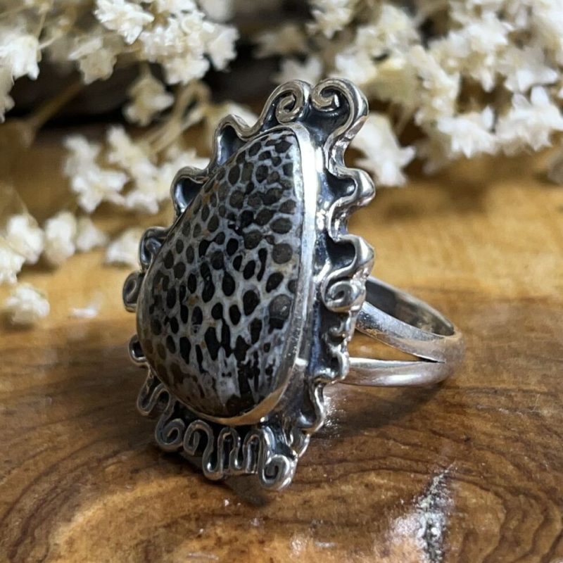 Anillo Coral Fósil Anillo Coral Fósil