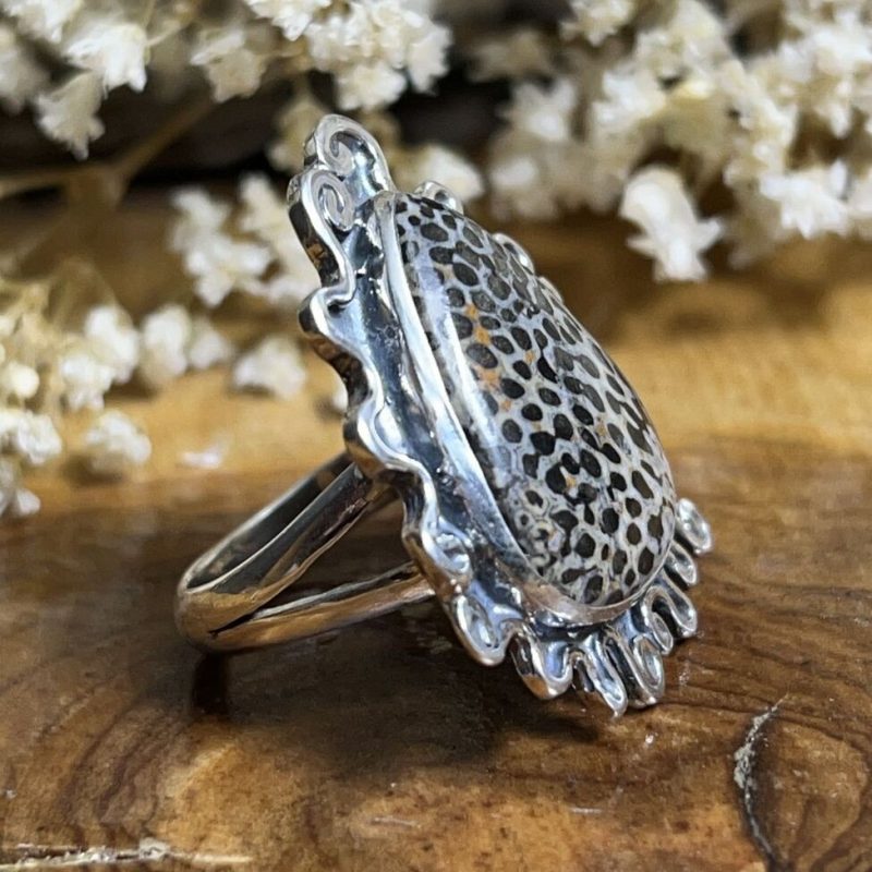 Anillo Coral Fósil Anillo Coral Fósil