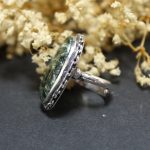 Anillo Serafinita
