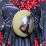 Rodado Septaria