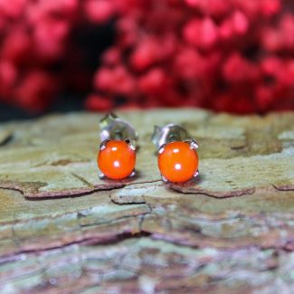 Pendientes Coral