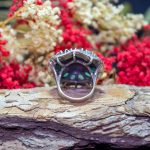 Anillo Esmeralda y Marquesitas