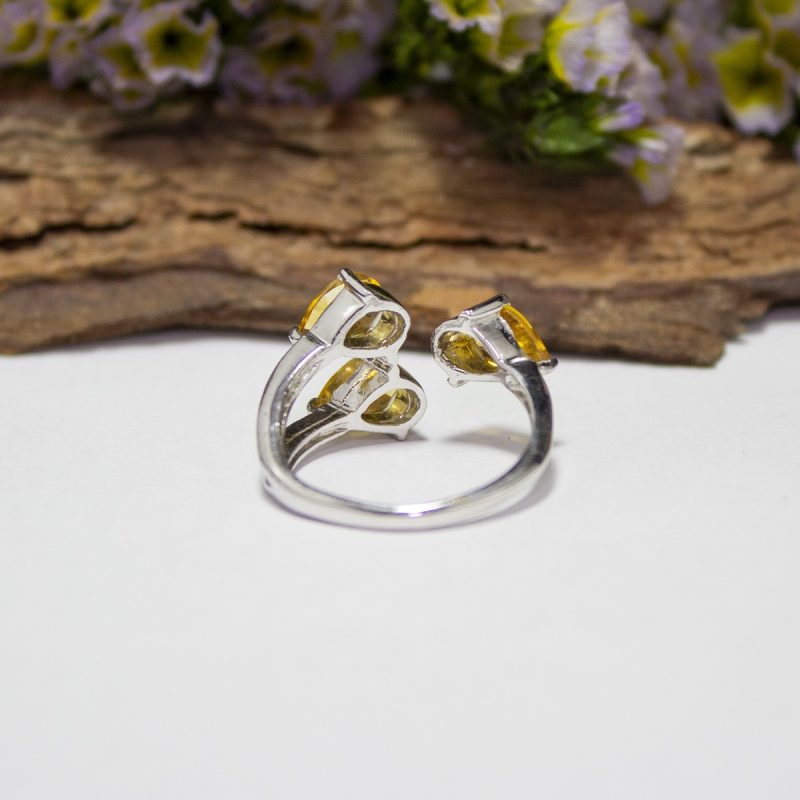 Anillo Coral Fósil Anillo Coral Fósil