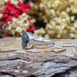 Anillo Moldavita