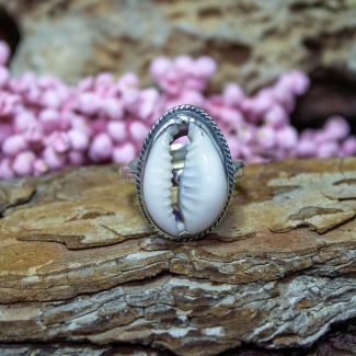Anillo Concha Cauri