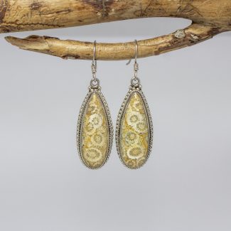 Pendientes Coral Fósil