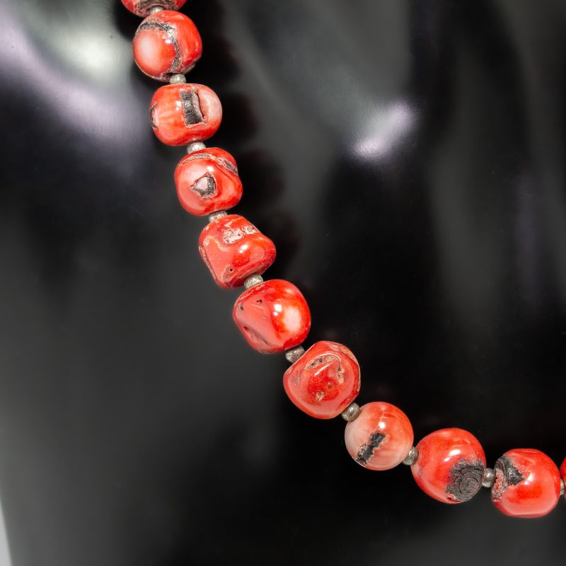 Collar Coral Collar Coral